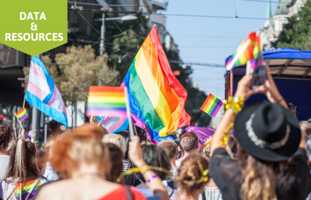 LGBTQIA flags in a march