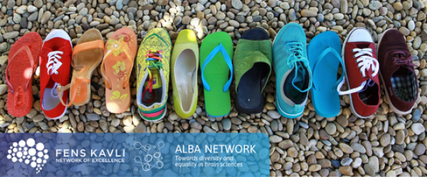 diverse coloured shoes lined up on pebbles. Logos of FKNE and ALBA at the bottom left in white on a blue background.